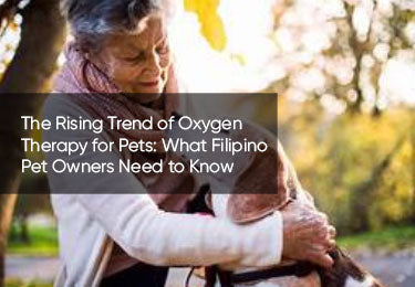 The Rising Trend of Oxygen Therapy for Pets: What Filipino Pet Owners Need to Know