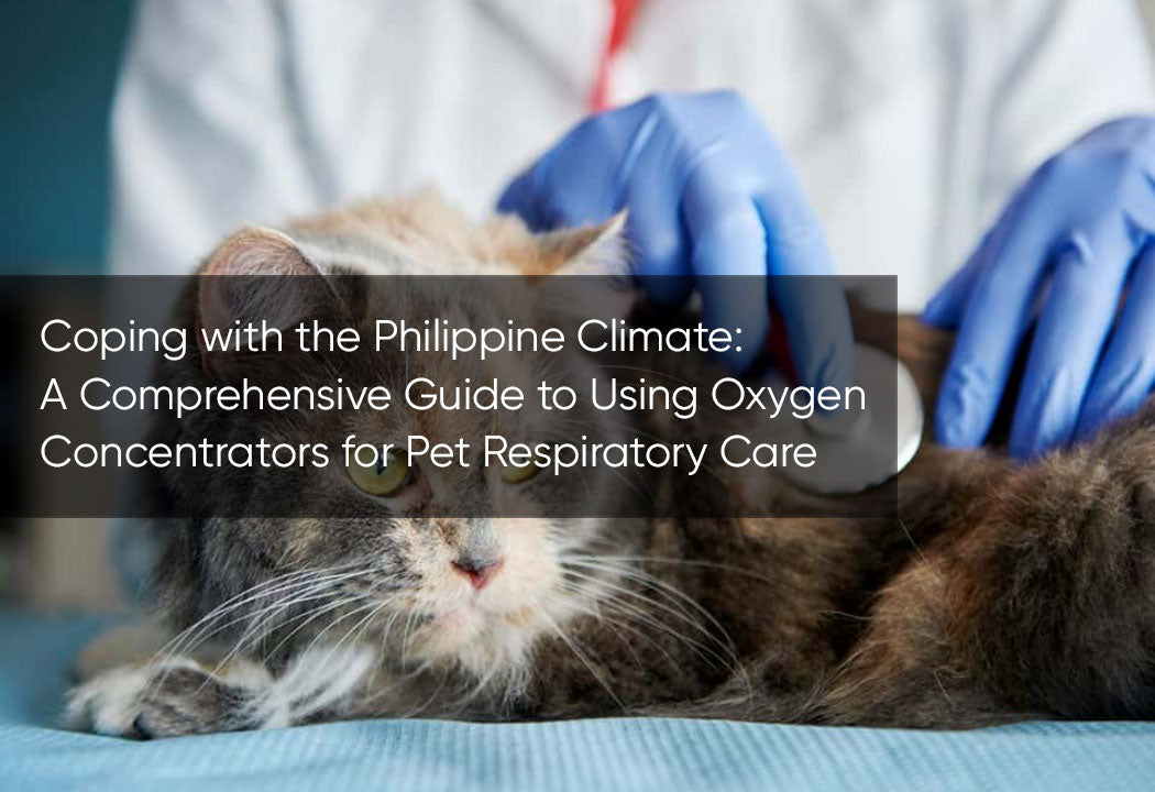 Coping with the Philippine Climate: A Comprehensive Guide to Using Oxygen Concentrators for Pet Respiratory Care